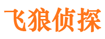 临高外遇调查取证